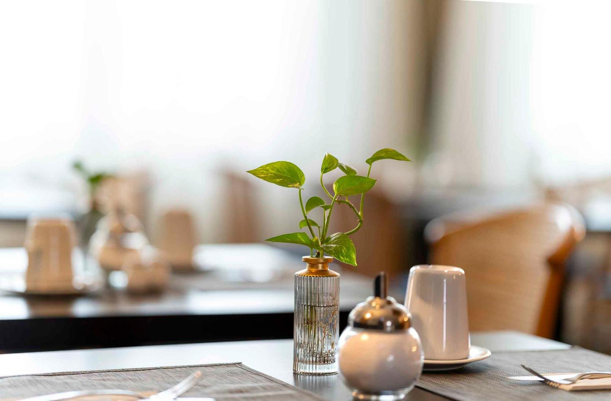 Hotel Plaza Blankenburg Ditzingen, Sure Collection Ditzingen