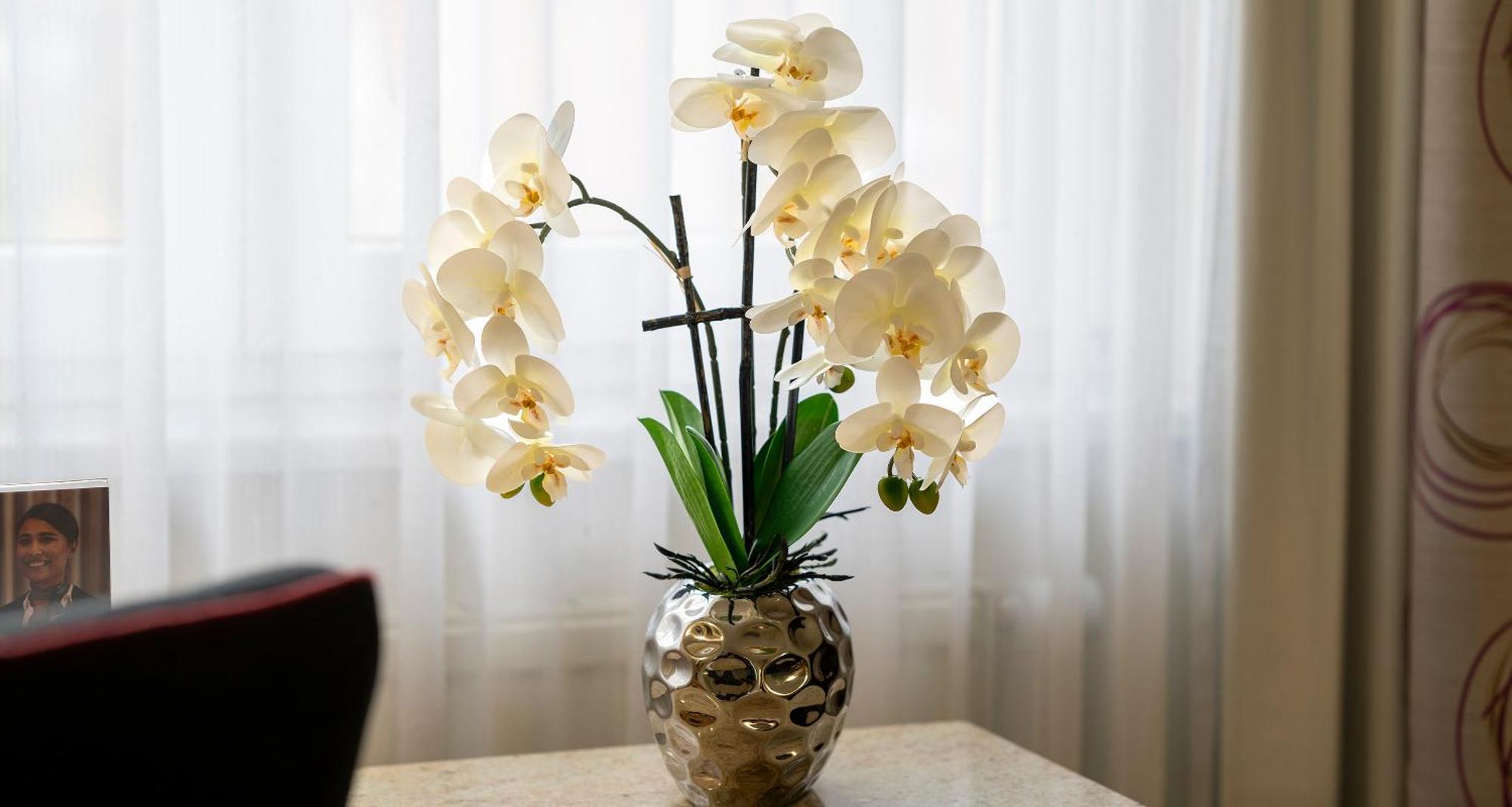 Plaza Blankenburg Ditzingen, Sure Collection Hotel 4*